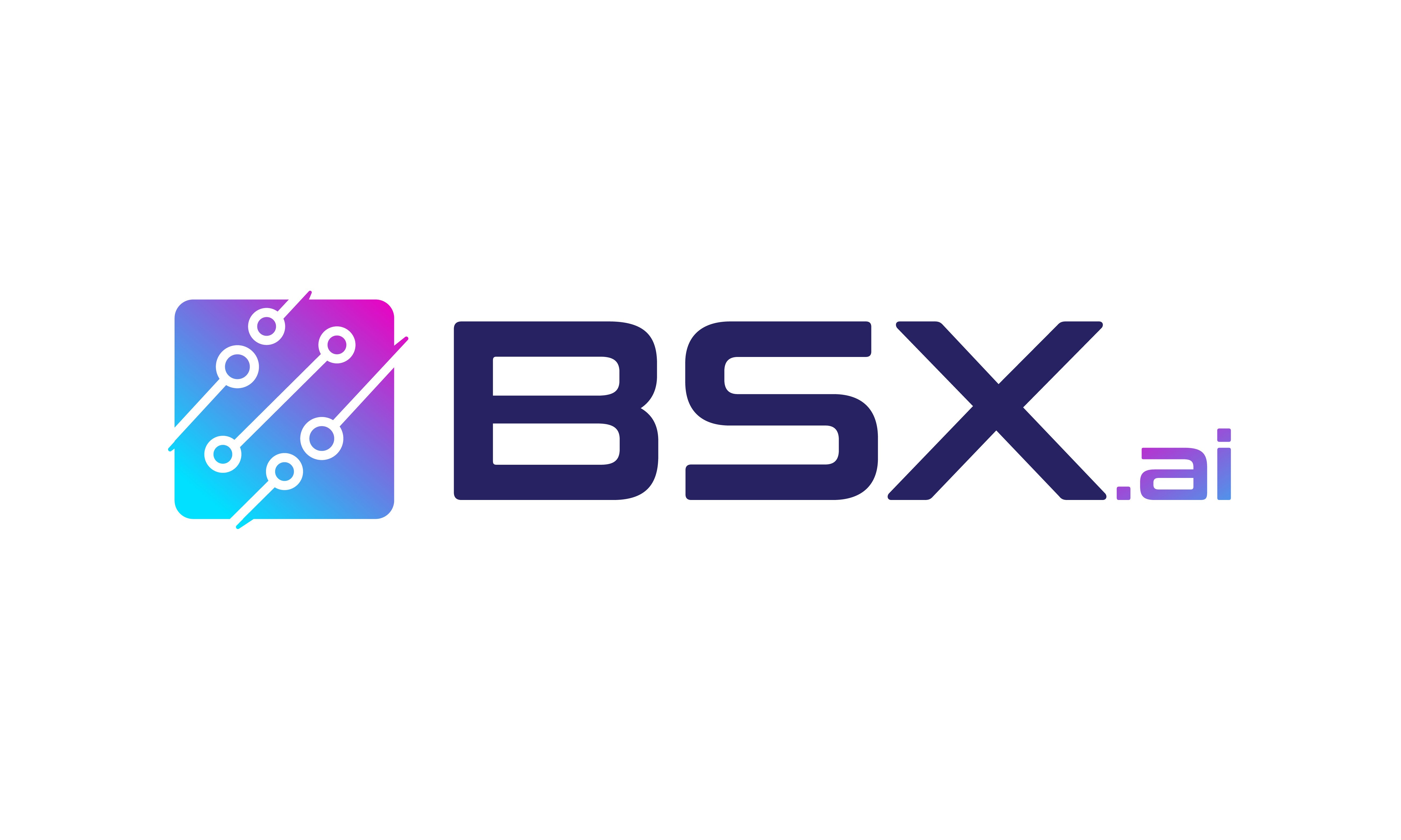 BSX logo